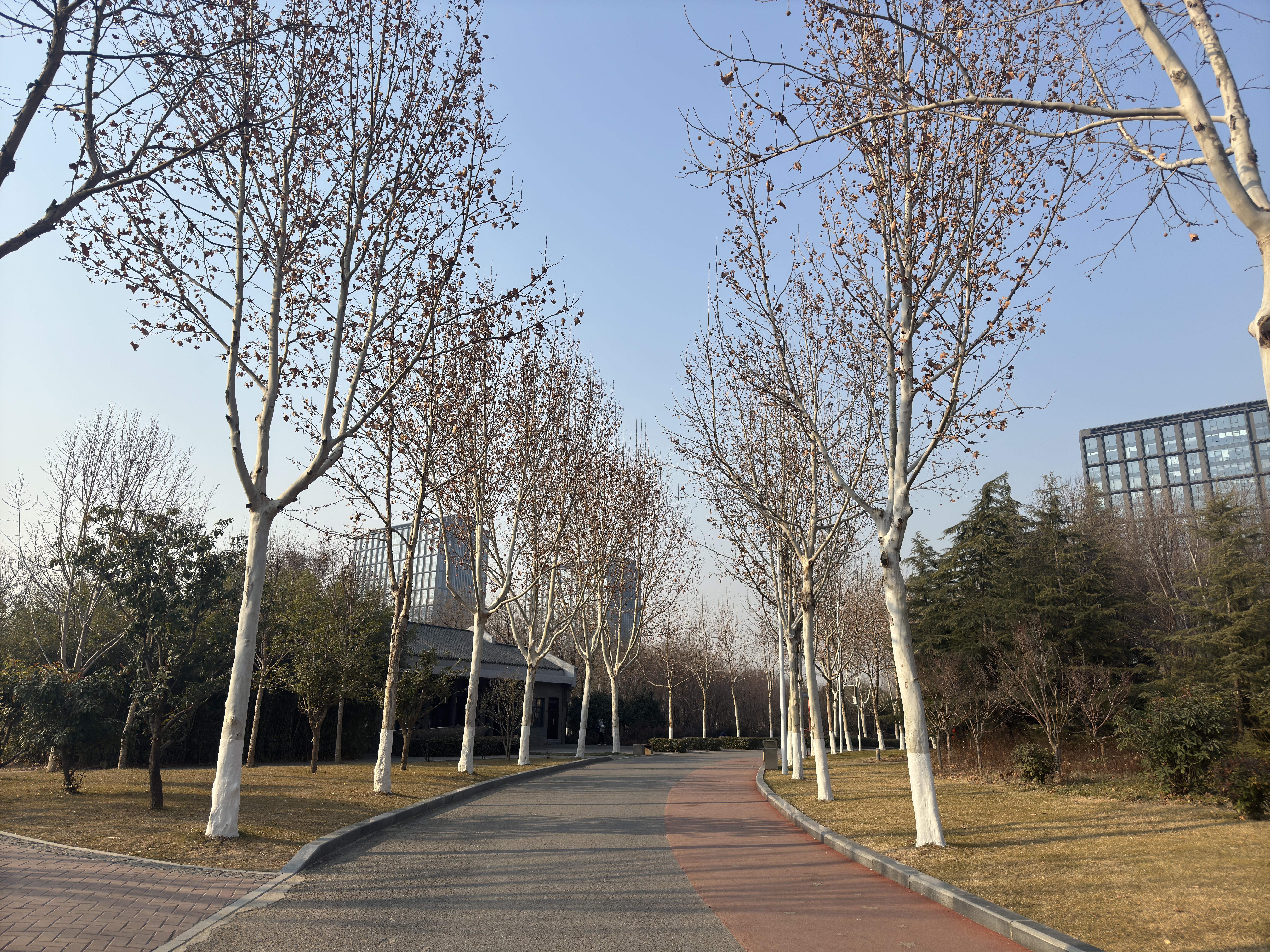 南环公园散散步